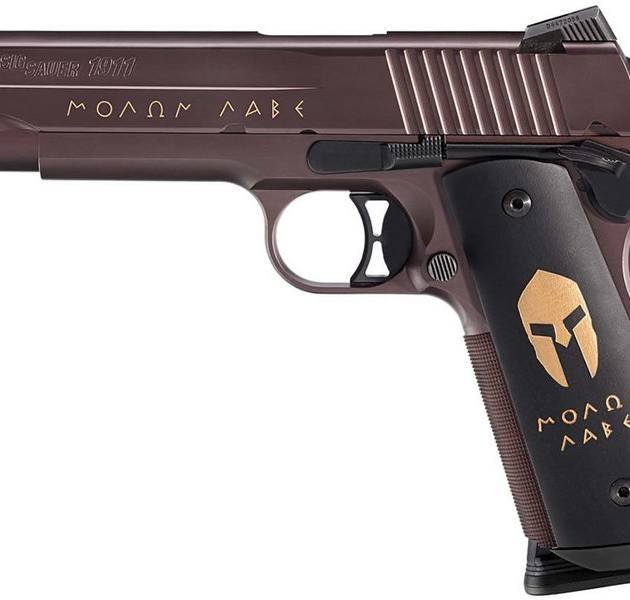 Sig Sauer 1911 Spartan 45 ACP For Sale Europe