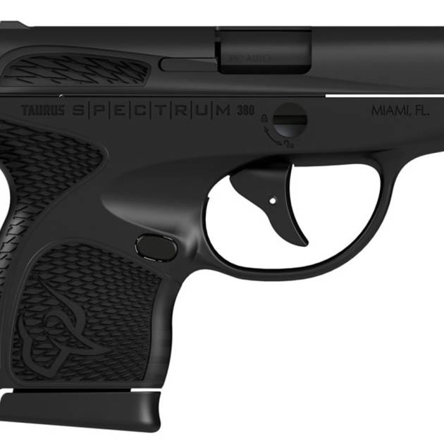 Taurus Spectrum 380 ACP Black Carry Conceal Pistol For Sale Europe
